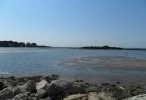 525e9c509de78_146_100.jpg